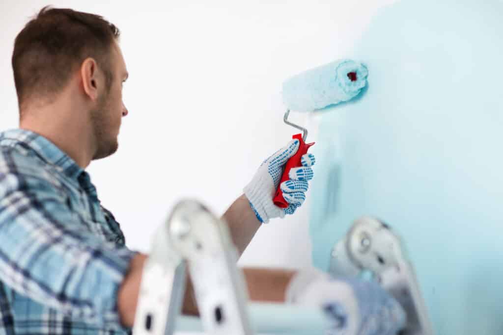 professional painter & decorator